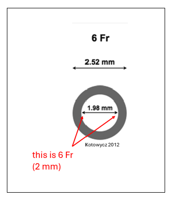 The history and meaning of the catheter diameter 